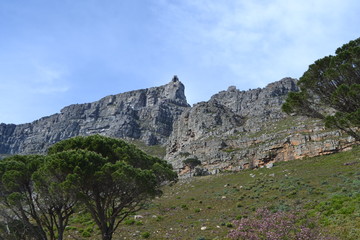 View from below Table Mountain in Cape Town.