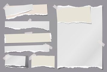 Set of torn white and colorful note, notebook paper strips and pieces stuck with sticky tape on grey background. Vector illustration