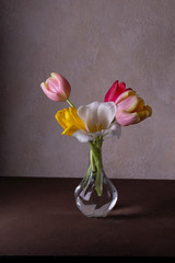 still life with tulips