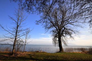 Scenic panorama of Ciemsee, Germany