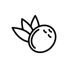 Coconut icon vector. Thin line sign. Isolated contour symbol illustration