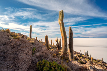 Uyuni salt flat, Bolivia