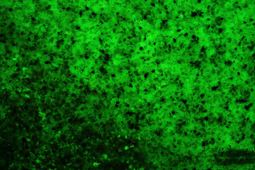 Acid green background with dark spots. Bright green abstract background. Bright Acid Background for Design
