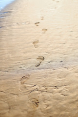 Fototapeta na wymiar Big footprints with fingers left on wet sand on the beach by running, walking man or woman.Seashore, water and waves, warm sunny day before sunset.Summer holidays, vacation in Europe resort in Italy