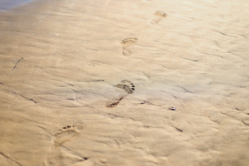Big footprints with fingers left on wet sand on the beach by running, walking man or woman.Seashore, water and waves, warm sunny day before sunset.Summer holidays, vacation in Europe resort in Italy
