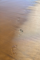 Big footprints with fingers left on wet sand on the beach by running, walking man or woman.Seashore, water and waves, warm sunny day before sunset.Summer holidays, vacation in Europe resort in Italy