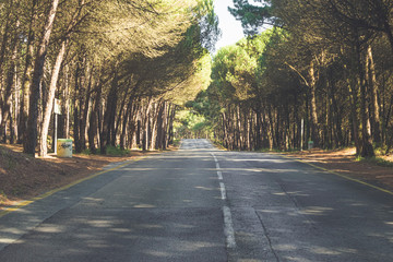carretera en el bodque