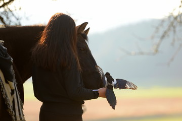 3 Freunde. Mädchen von hinten mit pferd und Elster