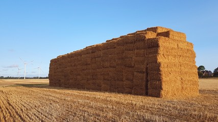 Field with hay or straw bales on background with beautiful blue sky