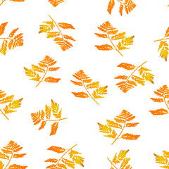 Vector Illustration of orange carved fall leaves isolated on a white background, Seamless pattern