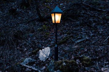phantom blue forest scary night outside lantern yellow illumination landscaping object mystery Halloween atmosphere