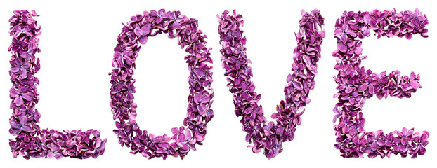 LOVE word text made of fresh pink flowers isolated on white background. Material for lettering..