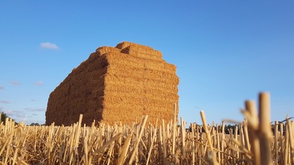 Field with hay or straw bales on background with beautiful blue sky