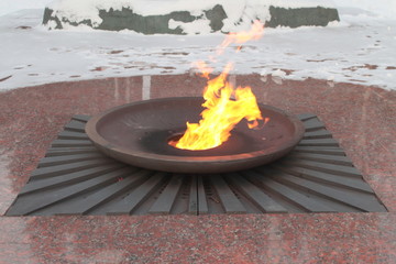 Burning flame bright orange color on snow background.