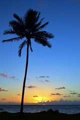Fototapeta na wymiar Sunrise in the Tropics
