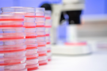 Microscope and petri dish with biological sample on clinical workbench