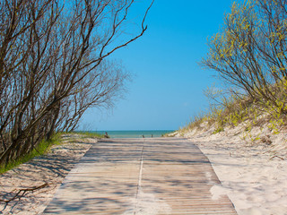 Sunny sea view with road, sand dunes and trees