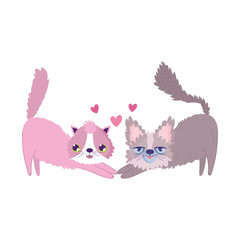 cartoon cats lovely mascots cartoon feline pets