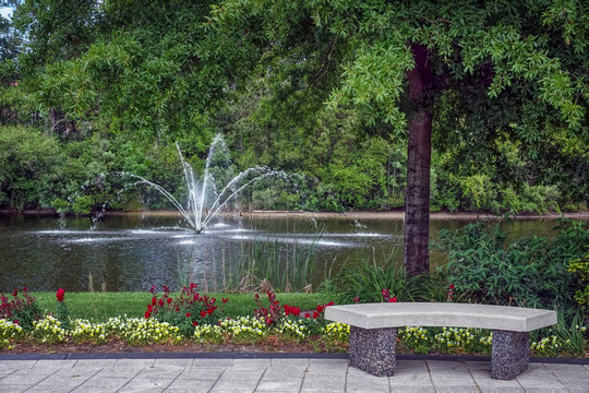 Landscape of scene in a beautiful park