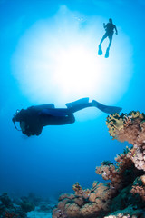 Fototapeta na wymiar Underwater image of Scuba Divers silhouetted against sun