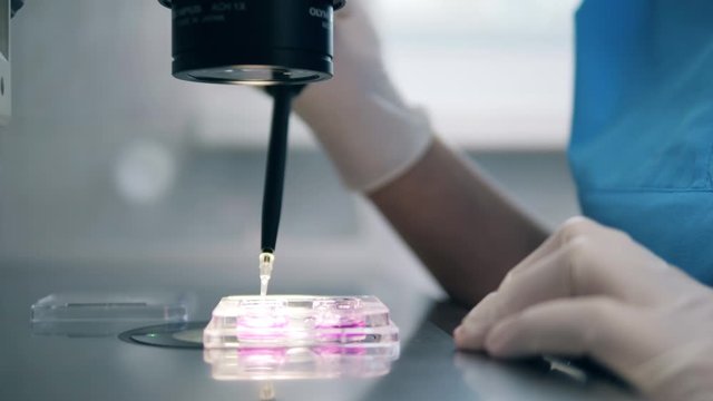 Hospital worker uses microscope during artificial fertilization.