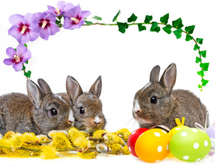 two little rabbits and spring flowering branch