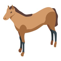 Western horse icon. Isometric of western horse vector icon for web design isolated on white background