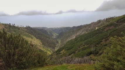 Naklejka premium Madère, vallée de Carvalhal
