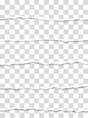 Five oblong torn transparent paper fragments placed one under another with soft shadow. Vector paper template.