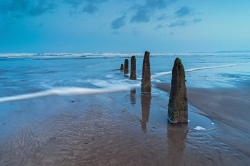 Weathered beach groynes on Westward Ho beach facing the on rushing waves from Bideford Bay on the North Devon coast of England.