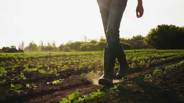 A farmer walks across a field in rubber boots on a blurred background of the tractor in motion. Concept of: Rubber boots, Lifestyle, Farmer, Slow Motion, Fields.