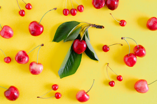 Red cherries of different sizes on yellow background with leaves. Flat lay.