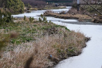 The beauty of a clean river.