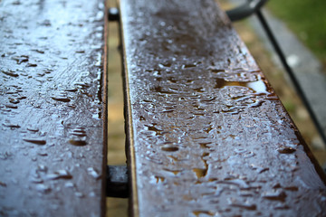 wood bench  