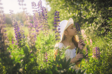 Lovely girl in a white dress in a field of flowers