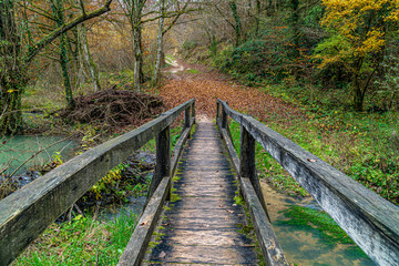 Old wooden bridge in a park at late fall. View in perspective.
