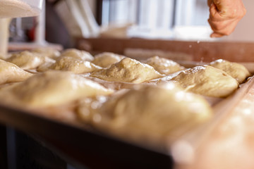 Brot backen in der Backstube