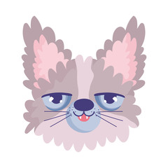 Fototapeta premium disheveled cat face cartoon character pets
