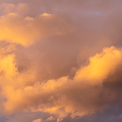 day blue sky with white cloud closeup as background