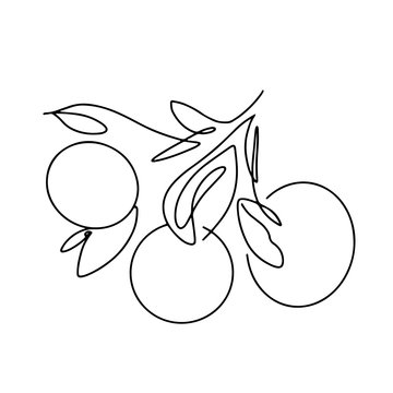 Abstract one continuous line art with botanical illustration with orange tree . Simple digital illustration. Vector graphic design download