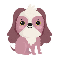 little cute cartoon domestic dog sitting pets