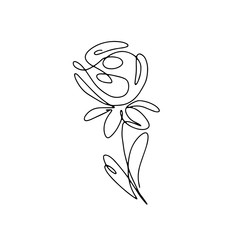 Abstract one continuous line art with botanical illustration with rose. Simple digital floral illustration. Vector graphic design download