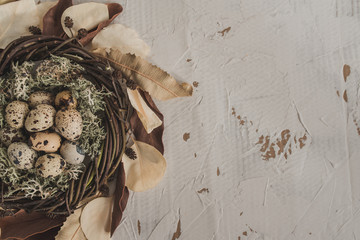 Close-up nest with quail eggs, moss, lichen and dry leaves. Spring concept background with space for text. Easter rustic background.