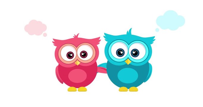 Happy Valentine's Day. 2d cartoonish animation with pink and blue funny owls hugging. Video 4k with alpha channel. Greeting animation for holiday and celebration day of lovers.