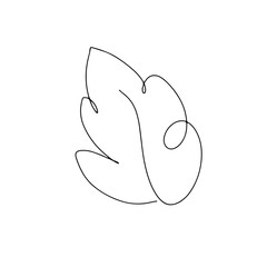 Abstract one continuous line art with botanical illustration with leaf, petal and grass. Simple digital illustration. Vector graphic design download