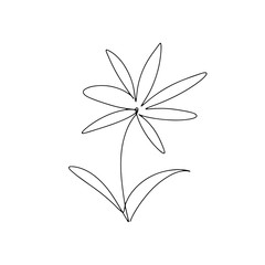 Abstract one continuous line art with botanical illustration with flower. Simple digital floral illustration. Vector graphic design download