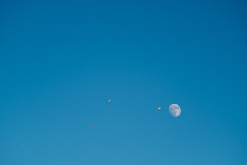 White moon against the blue sky. Full moon in the afternoon. Satellite of the planet earth. Blue skies on a frosty winter day.