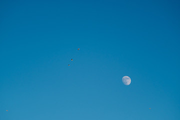 White moon against the blue sky. Full moon in the afternoon. Satellite of the planet earth. Blue skies on a frosty winter day.