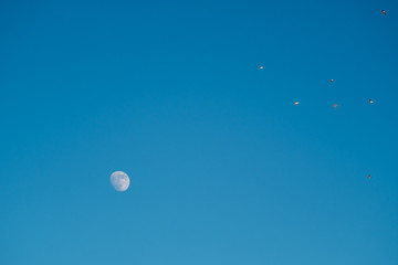 White moon against the blue sky. Full moon in the afternoon. Satellite of the planet earth. Blue skies on a frosty winter day.