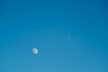 White moon against the blue sky. Full moon in the afternoon. Satellite of the planet earth. Blue skies on a frosty winter day.